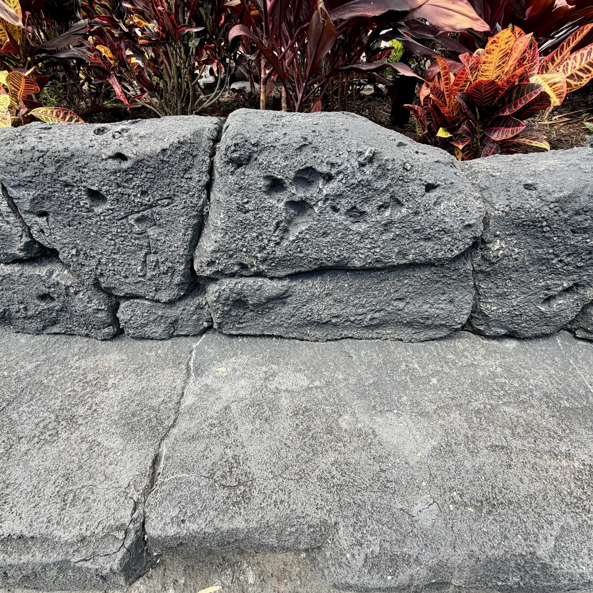 Magic Kingdom Adventureland Rock Seat Hidden Mickey