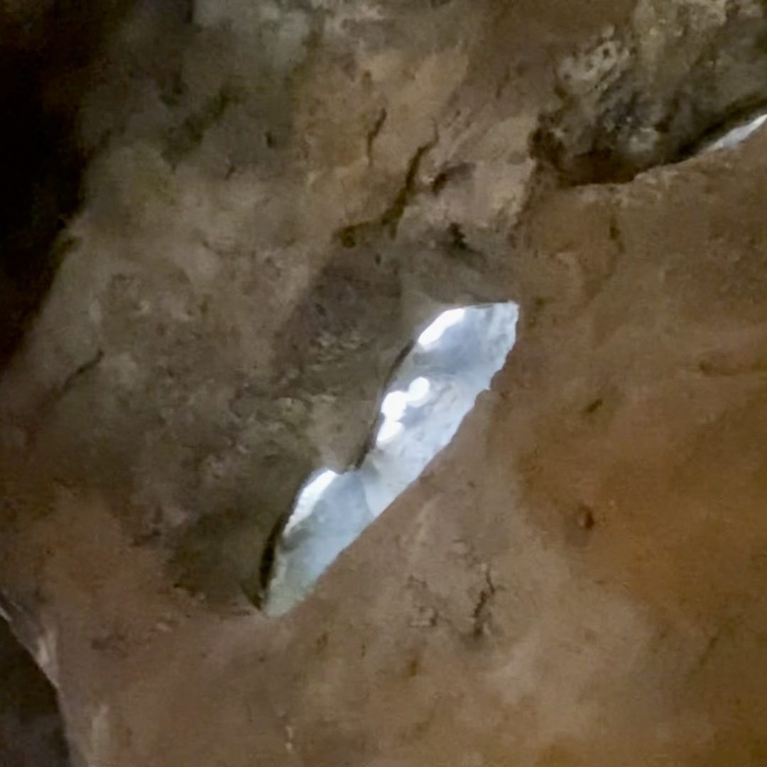 Sideways Hidden Mickey Light image inside Naked Mole Rat Exhibit